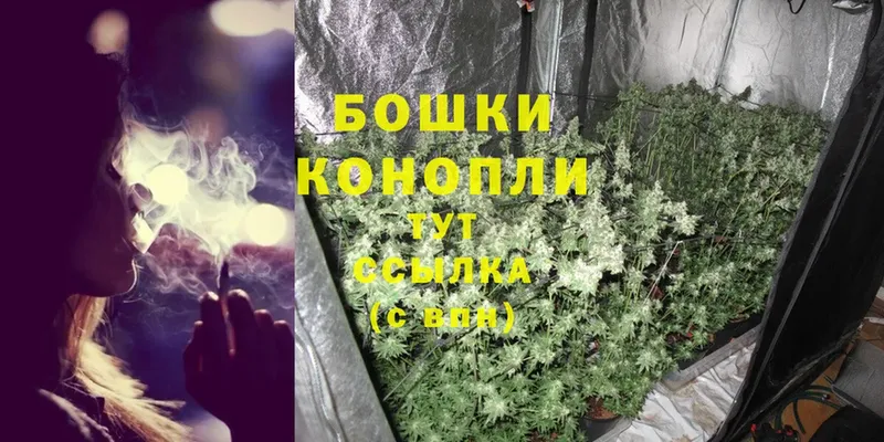 купить закладку  Кизел  Бошки Шишки LSD WEED 